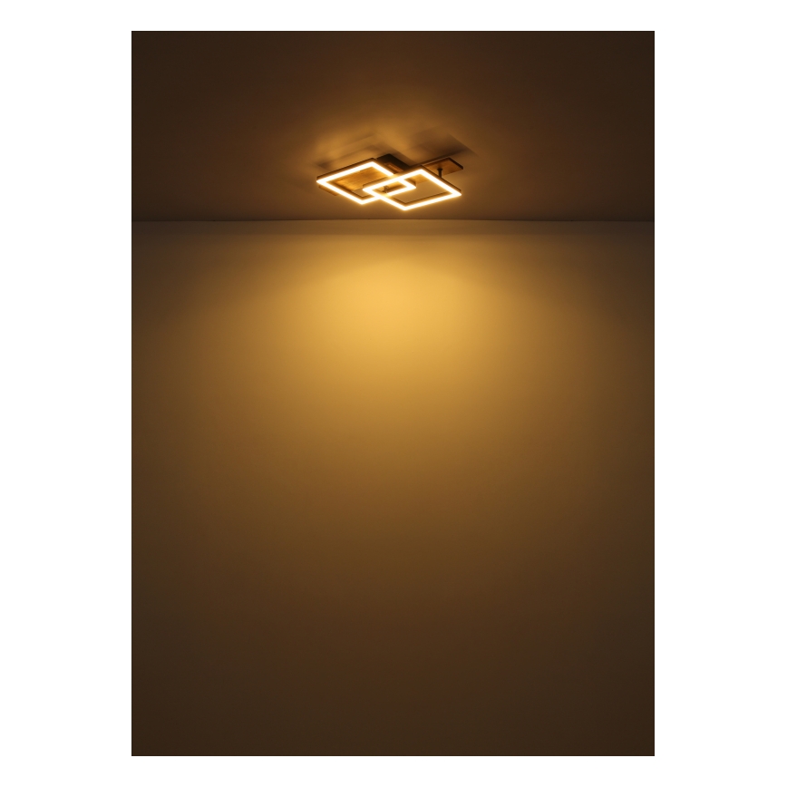 Globo - LED mennyezeti lámpa LED/16W/230V 3000K 33x44 cm