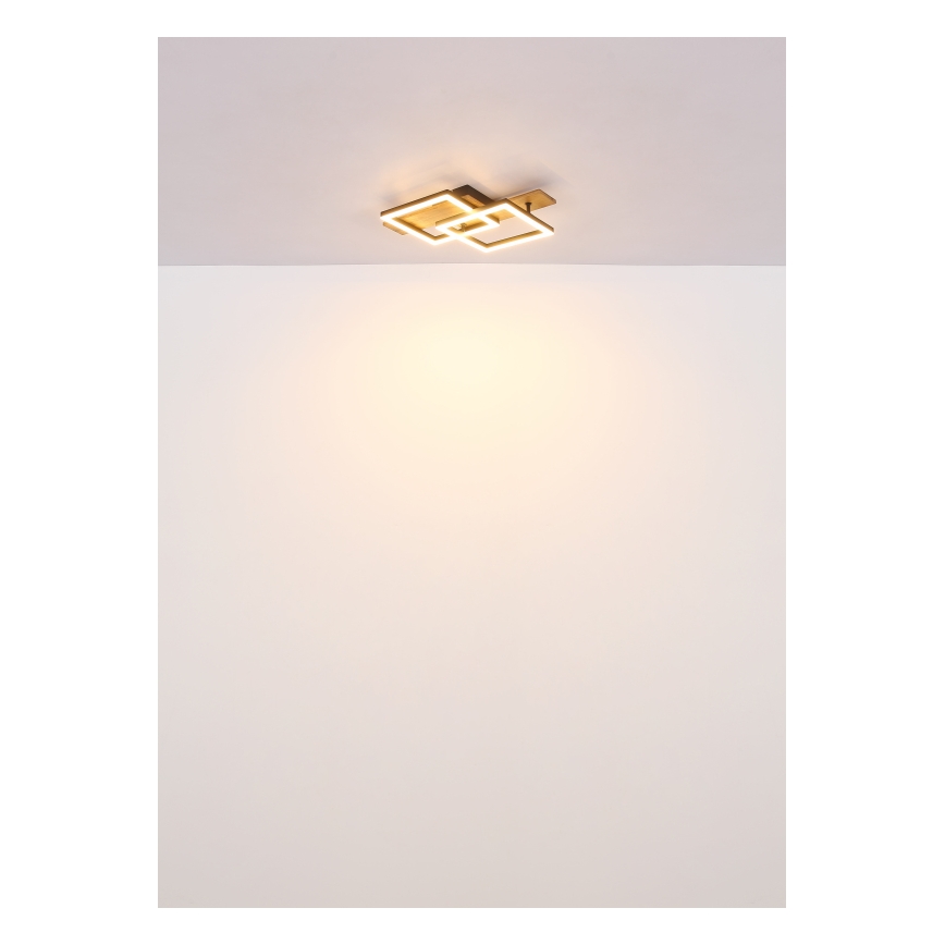Globo - LED mennyezeti lámpa LED/16W/230V 3000K 33x44 cm