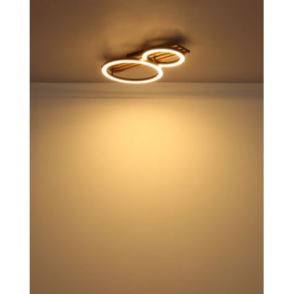 Globo - LED Mennyezeti lámpa LED/18W/230V 3000K 30x48 cm