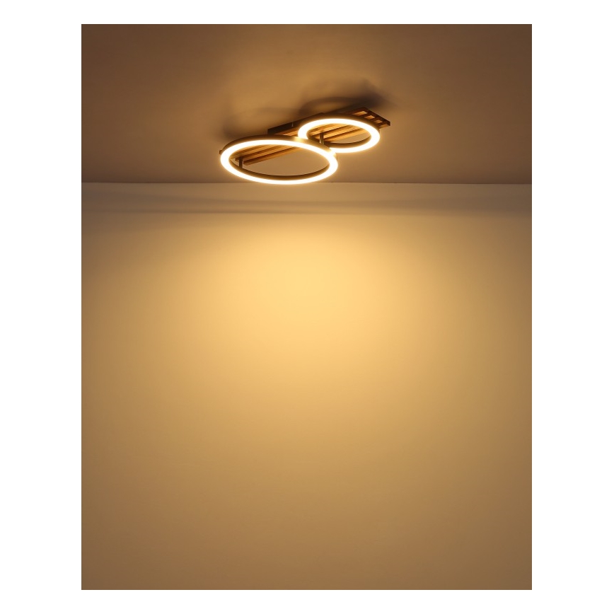 Globo - LED Mennyezeti lámpa LED/18W/230V 3000K 30x48 cm