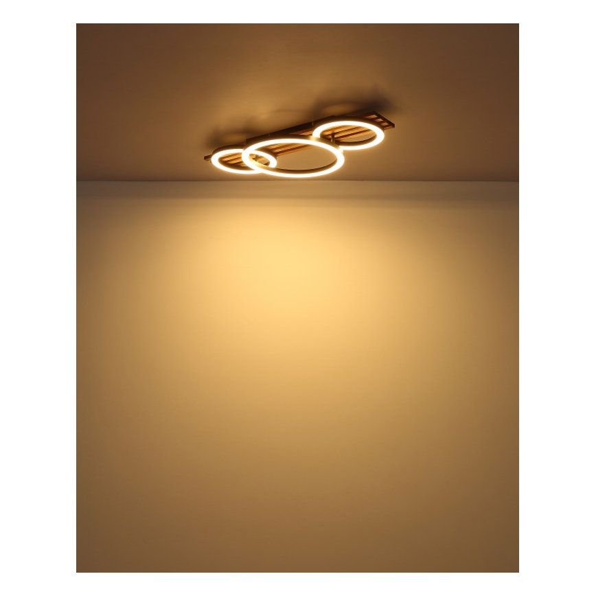 Globo - LED Mennyezeti lámpa LED/24W/230V 3000K 30x62 cm