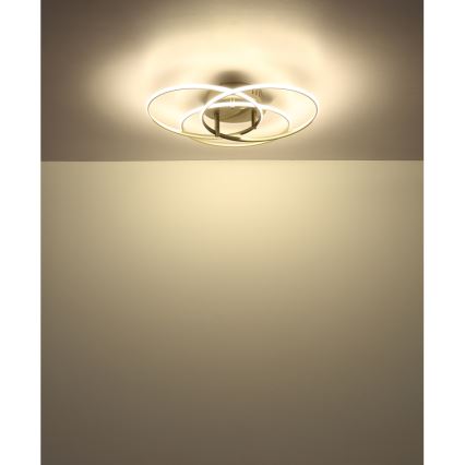 Globo - LED Mennyezeti lámpa LED/40W/230V 4000K átm. 45,6 cm matt króm