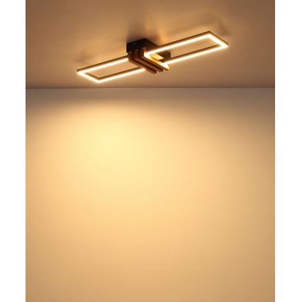 Globo - LED mennyezeti lámpa LED/20W/230V 3000K 60x16,8 cm