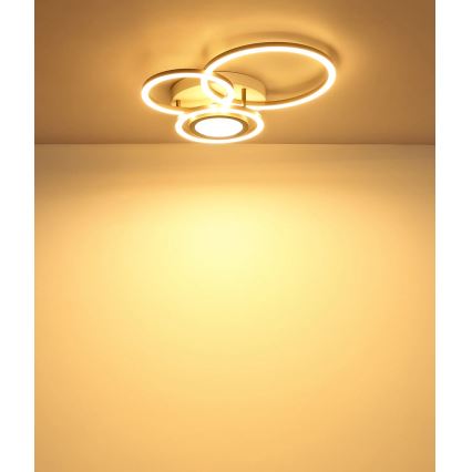 Globo - LED mennyezeti lámpa LED/40W/230V 3000K 49x39 cm