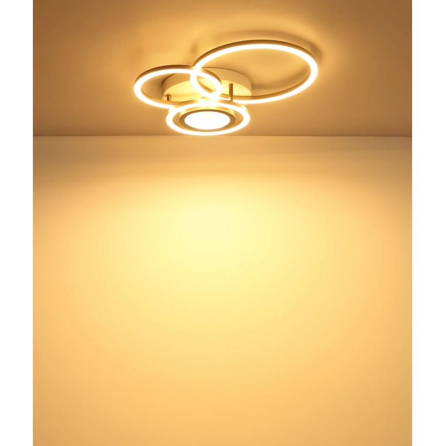 Globo - LED mennyezeti lámpa LED/40W/230V 3000K 49x39 cm
