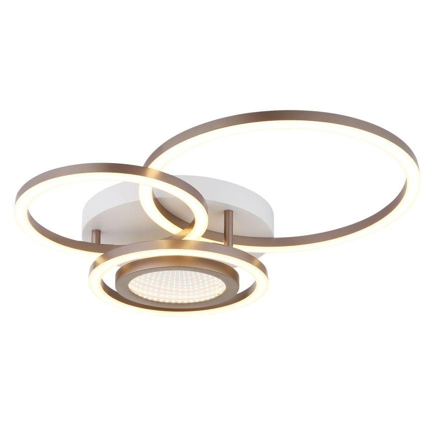 Globo - LED mennyezeti lámpa LED/40W/230V 3000K 49x39 cm