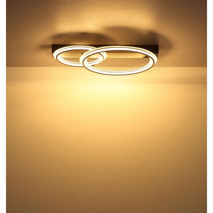 Globo - LED mennyezeti lámpatest LED/30W/230V 3000K 33x45 cm