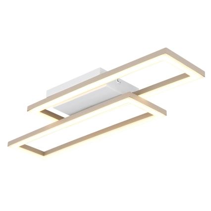 Globo - LED mennyezeti lámpa LED/16W/230V 3000/4000/6000K