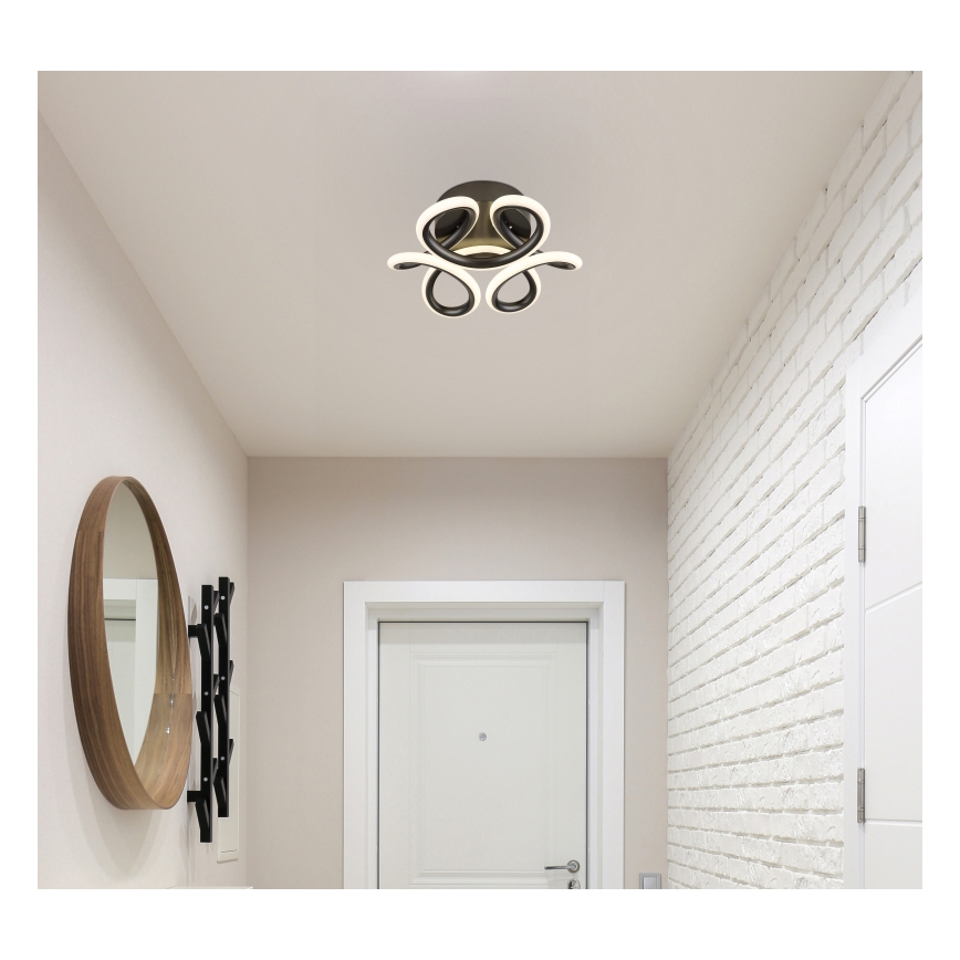 Globo - LED mennyezeti lámpa LED/24W/230V 2700/4000/6000K átmérő 26 cm fekete