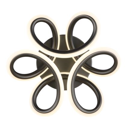 Globo - LED mennyezeti lámpa LED/24W/230V 2700/4000/6000K átmérő 26 cm fekete