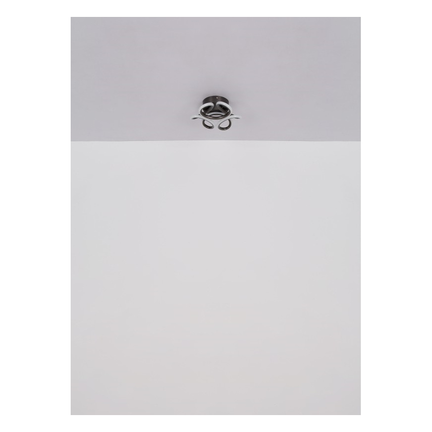 Globo - LED mennyezeti lámpa LED/24W/230V 2700/4000/6000K átmérő 26 cm fekete
