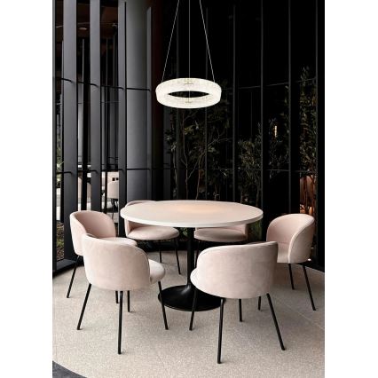 Globo - LED fényerőszabályozható kábelen függesztett csillár LED/24W/230V 2700-6000K átlátszó + távirányító