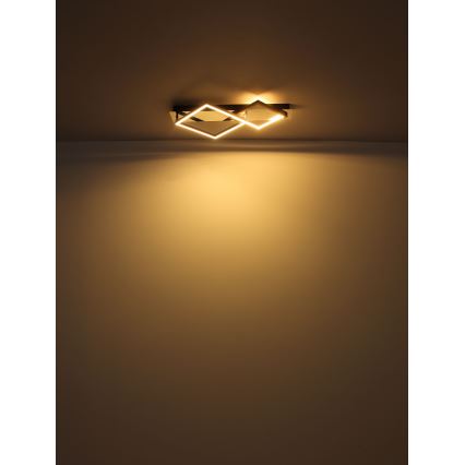 Globo - LED Mennyezeti lámpa LED/24W/230V 3000K
