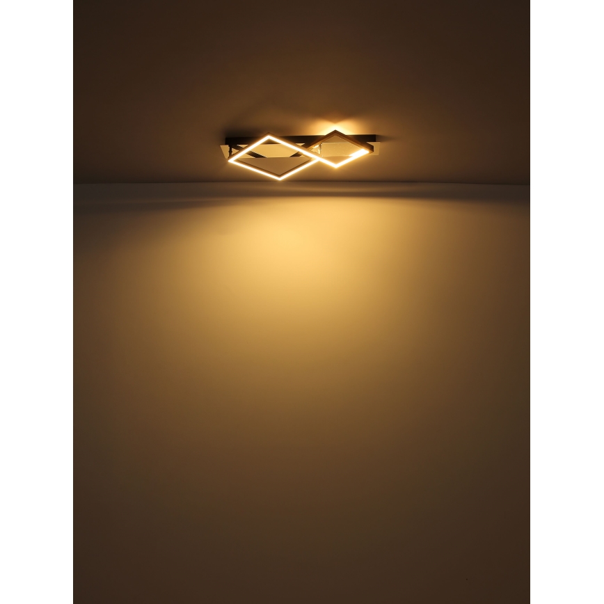 Globo - LED Mennyezeti lámpa LED/24W/230V 3000K