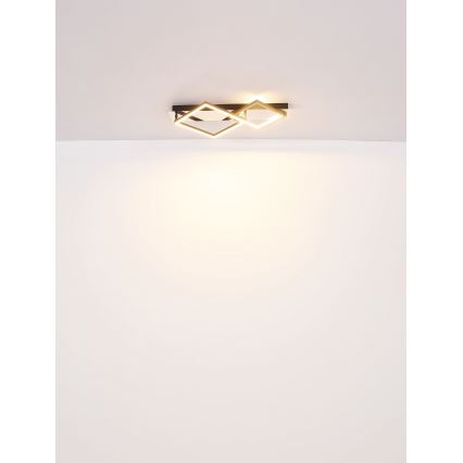 Globo - LED Mennyezeti lámpa LED/24W/230V 3000K