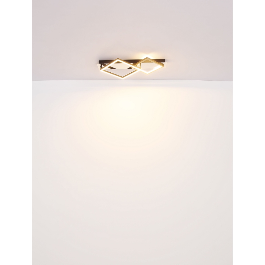 Globo - LED Mennyezeti lámpa LED/24W/230V 3000K