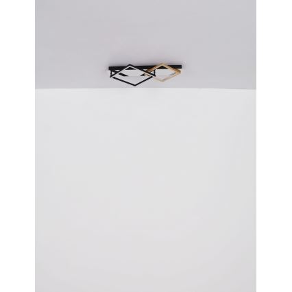 Globo - LED Mennyezeti lámpa LED/24W/230V 3000K