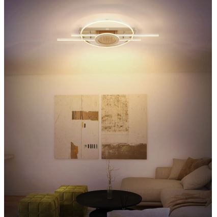 Globo - LED mennyezeti lámpa LED/40W/230V 3000K