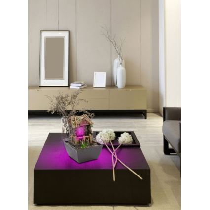 Globo - LED RGB Dekoratív szökőkút LED/0,13W/230V