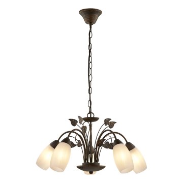 Globo - Csillár láncon 5xE14/40W/230V