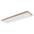 Globo - dimmelhető LED mennyezeti lámpa LED/24W/230V 2700-6500K 20x80 cm + távirányító