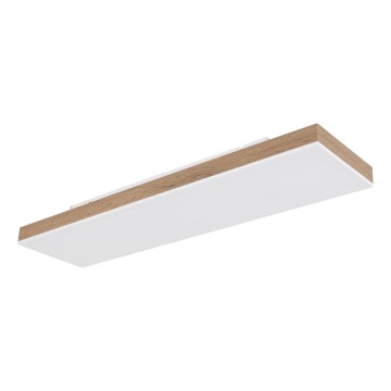 Globo - dimmelhető LED mennyezeti lámpa LED/24W/230V 2700-6500K 20x80 cm + távirányító