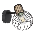 Globo - Fali spotlámpa 1xE27/40W/230V