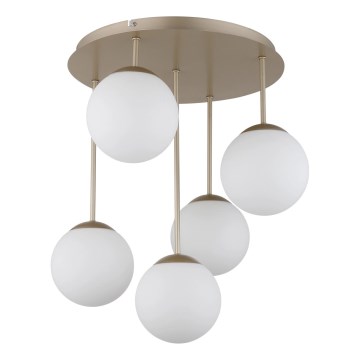 Globo - Felületre szerelhető csillár 5xE14/25W/230V sárgaréz