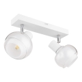 Globo - Irányítható spotlámpa 2xE14/40W/230V fehér
