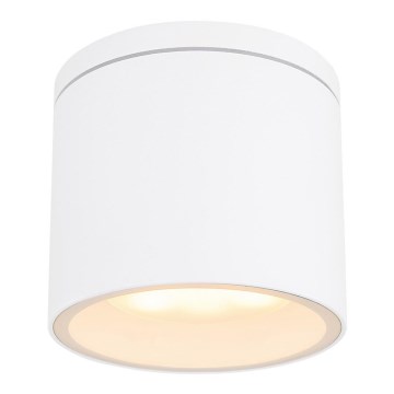 Globo - Kültéri mennyezeti lámpa 1xGX53/11W/230V IP44