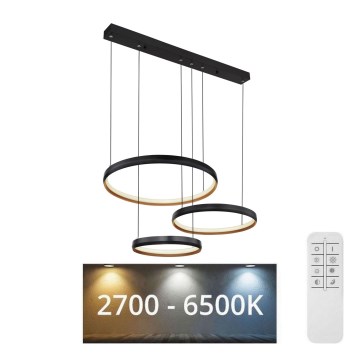 Globo - LED Dimmelhető csillár zsinóron LED/55W/230V 2700-6000K + távirányítás