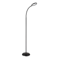 Globo - LED dimmelhető, érintésvezérlésű állólámpa LED/8W/230V 2700K/4000K/6500K fekete