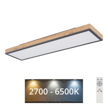 Globo - LED Dimmelhető mennyezeti lámpa LED/24W/230V 2700-6500K + távirányítás