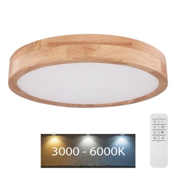 Globo - LED Dimmelhető mennyezeti lámpa LED/24W/230V 3000-6000K + távirányítás