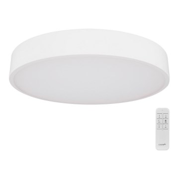 Globo - LED dimmelhető mennyezeti lámpa LED/24W/230V 3000-6000K + távirányító
