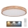 Globo - LED Dimmelhető mennyezeti lámpa LED/48W/230V 3000-6000K + távirányítás