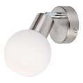 Globo - LED Fali spotlámpa 1xE14/5W/230V