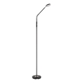 Globo - LED fényerőszabályozható érintésvezérlésű állólámpa LED/6,5W/230V 2700/3350/4000K fekete