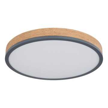 Globo - LED, fényerőszabályozható mennyezeti lámpa LED/24W/230V 3000-6500K Ø 45 cm