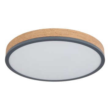 Globo - LED fényerőszabályozható mennyezeti lámpatest LED/24W/230V 2700-6500K Ø45 cm