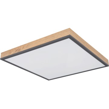 Globo - LED fényerőszabályozható mennyezeti lámpatest LED/24W/230V 3000-6500K 45x45 cm