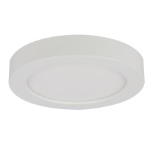 Globo - LED fürdőszobai mennyezeti lámpa 1xLED/12W/230V