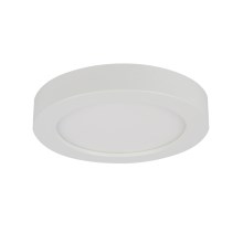 Globo - LED fürdőszobai mennyezeti lámpa 1xLED/18W/230V IP44