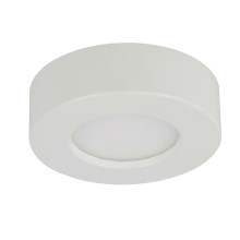 Globo - LED fürdőszobai mennyezeti lámpa 1xLED/6W/230V IP44