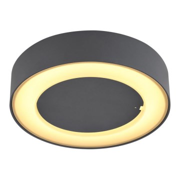 Globo - LED Kültéri mennyezeti lámpa LED/12W/230V IP54