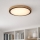 Globo - LED mennyezeti lámpa LED/12W/230V 307 mm 3000/4500/6000K
