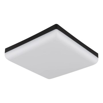 Globo - LED Mennyezeti lámpa LED/12W/230V 4000K 22x22 cm fekete