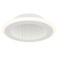 Globo - LED Mennyezeti lámpa LED/12W/230V 4000K