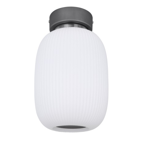 Globo - LED Mennyezeti lámpa LED/21W/230V