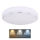Globo - LED Mennyezeti lámpa LED/24W/230V 3000/4000/6000K átm. 37,5 cm
